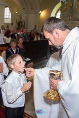 IMG_7309.jpg